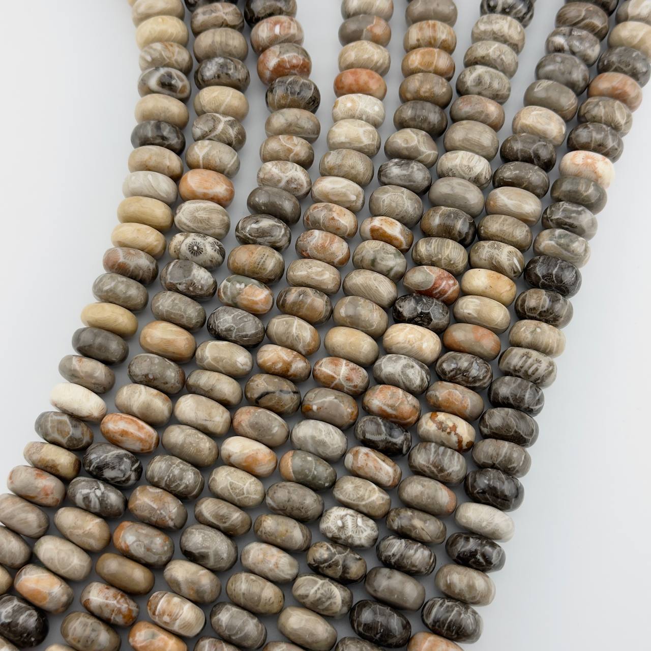 Оканемелый коралл (фоссил) размер 8*13мм натуральный камень